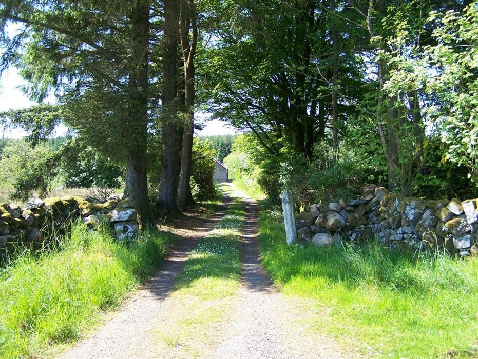 Ochiltree Cottage ニュートン・スチュワート エクステリア 写真